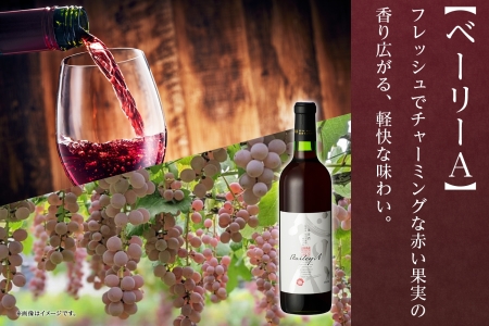 甲州辛口・ベーリーA 2本セット 720ml モンデ酒造 177-4-006|辛口 甲州ワイン 白ワイン 赤ワイン セット辛口 甲州ワイン 白ワイン 赤ワイン セット辛口 甲州ワイン 白ワイン 赤ワイン セット辛口 甲州ワイン 白ワイン 赤ワイン セット辛口 甲州ワイン 白ワイン 赤ワイン セット|