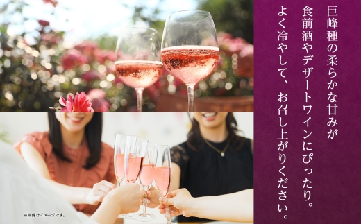 巨峰スパークリング 720ml×12本 177-4-073|巨峰ワイン 巨峰 ロゼワイン スパークリング巨峰ワイン 巨峰 ロゼワイン スパークリング巨峰ワイン 巨峰 ロゼワイン スパークリング巨峰ワイン 巨峰 ロゼワイン スパークリング巨峰ワイン 巨峰 ロゼワイン スパークリング巨峰ワイン 巨峰 ロゼワイン スパークリング巨峰ワイン 巨峰 ロゼワイン スパークリング|