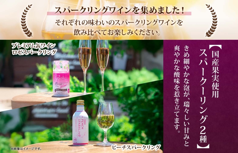 スパークリング 缶ワイン 5種 セット 各290ml×2本 計10本 飲み比べ モンデ酒造 ロゼ デラウェア ピーチ 酒 お酒 贈答 ギフト 晩酌 宅飲み 家飲み キャンプ BBQ バーベキュー パーティー アウトドア 送料無料 山梨県 笛吹市  177-4-173