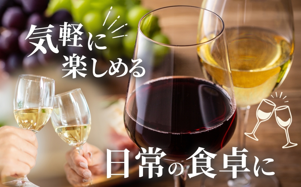 白ワイン NOVICEノヴィス  シュール・リー 甲州 720ml×6本 フルボトル 辛口 ワイン お酒 白 山梨 送料無料 日川中央葡萄酒 山梨県 笛吹市 177-7-29