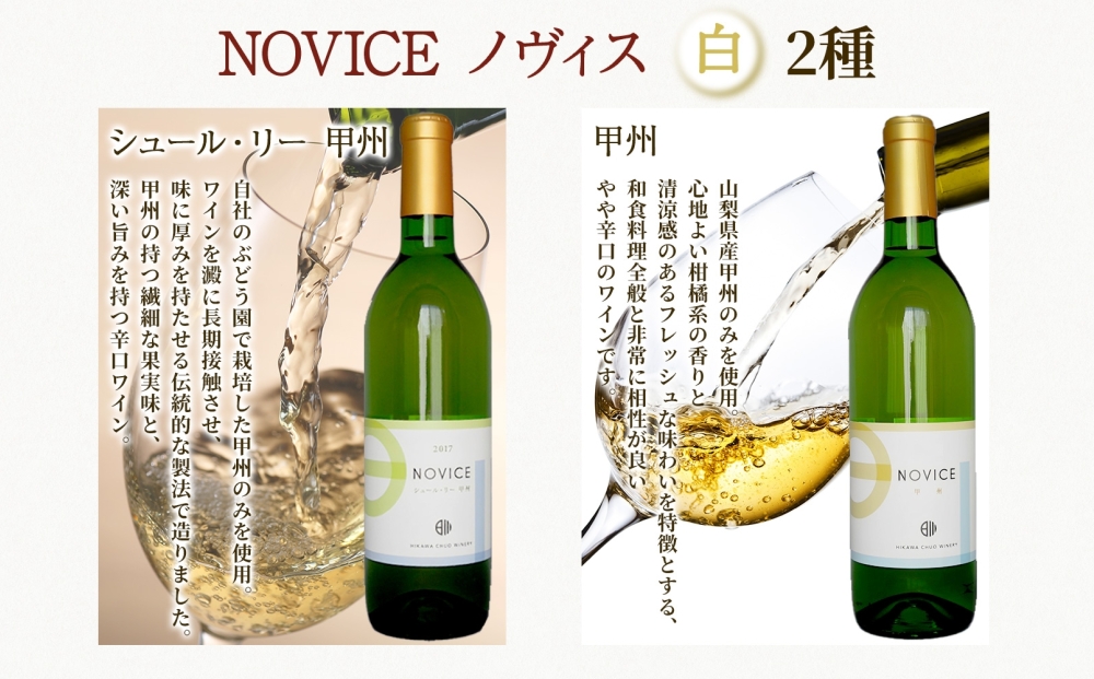 白ワイン 5種 6本 セット 720ml ヴィンテージ 甲州 サンセミヨン シュールリー 甲州 甲州 Liaison NOVICE リエゾン ノヴィス フルボトル ワイン お酒 飲み比べ 山梨 日川中央葡萄酒 送料無料 山梨県 笛吹市 177-7-35