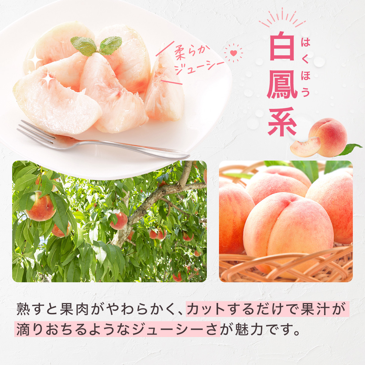 山梨県産 旬の桃 2kg以上(5～8玉) 180-004