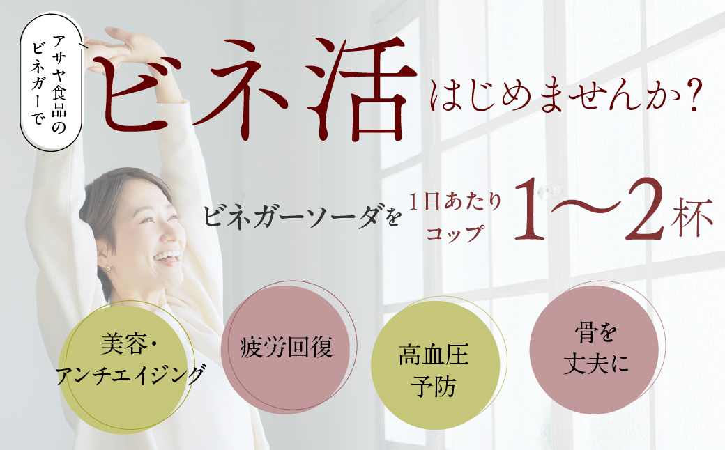 ビネガーソーダぶどう12本セット 182-031