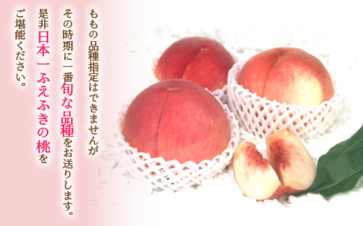 ＜25年発送先行予約＞笛吹市産　厳選! 旬の桃 約2kg (5~8玉) 205-001|もも 桃 2kg 2キロもも 桃 2kg 2キロもも 桃 2kg 2キロもも 桃 2kg 2キロもも 桃 2kg 2キロもも 桃 2kg 2キロもも 桃 2kg 2キロもも 桃 2kg 2キロもも 桃 2kg 2キロもも 桃 2kg 2キロもも 桃 2kg 2キロもも 桃 2kg 2キロもも 桃 2kg 2キロもも 桃 2kg 2キロ|