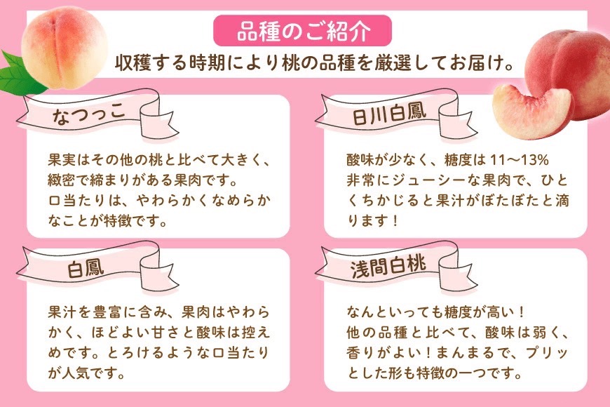【2026年発送★先行予約】笛吹市産　厳選！桃［2kg］（5～8玉入）フルーツ大国！山梨県笛吹市より産地直送 209-001-26y OUTTA REACH JAPAN