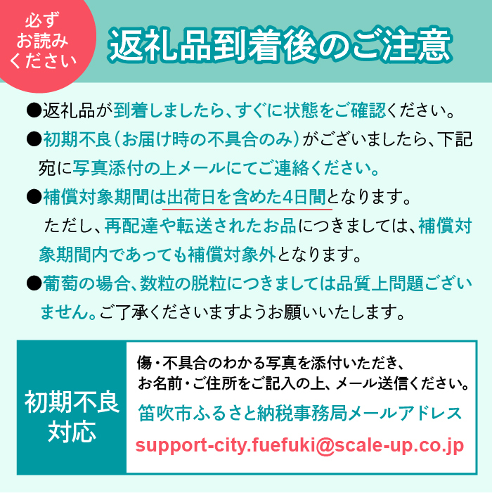 ＜26年発送先行予約＞笛吹市産シャインマスカット（匠）3～4房　2kg以上　210-007