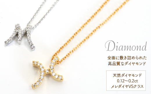 Pt950  ダイヤイニシャル  ＰＮ ( E ) 管理番号20208003 221-002-E|プラチナ イニシャル ダイヤ ネックレスプラチナ イニシャル ダイヤ ネックレスプラチナ イニシャル ダイヤ ネックレスプラチナ イニシャル ダイヤ ネックレスプラチナ イニシャル ダイヤ ネックレスプラチナ イニシャル ダイヤ ネックレスプラチナ イニシャル ダイヤ ネックレスプラチナ イニシャル ダイヤ ネックレス|