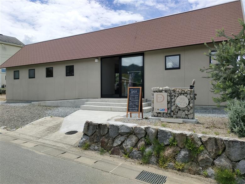 ビカクシダ Sサイズ 【3月～11月発送】　232-001 ふるさと納税 ヒガクシダ 植物 観葉植物 インテリア