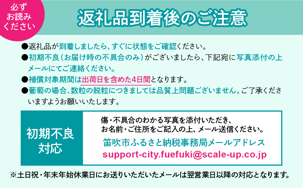 【2026年発送★先行予約】厳選シャイン1.2kg（2～4房） 111-015