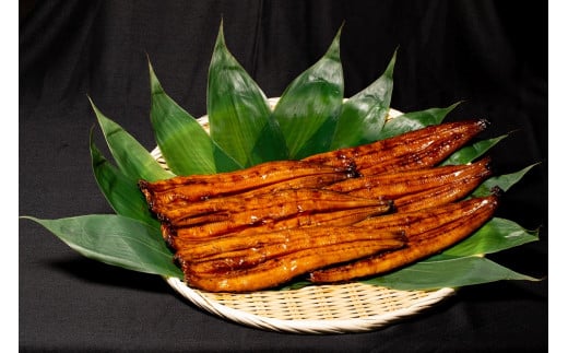 山梨県産富士山脈の地下水うなぎの蒲焼（2尾280g以上）138-007|うなぎ 鰻 国産 蒲焼うなぎ 鰻 国産 蒲焼うなぎ 鰻 国産 蒲焼うなぎ 鰻 国産 蒲焼うなぎ 鰻 国産 蒲焼うなぎ 鰻 国産 蒲焼うなぎ 鰻 国産 蒲焼うなぎ 鰻 国産 蒲焼うなぎ 鰻 国産 蒲焼うなぎ 鰻 国産 蒲焼うなぎ 鰻 国産 蒲焼うなぎ 鰻 国産 蒲焼うなぎ 鰻 国産 蒲焼うなぎ 鰻 国産 蒲焼|