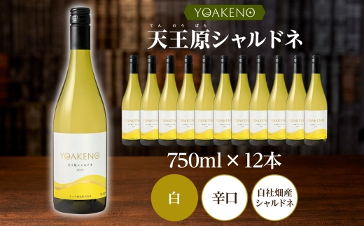 YOAKENO 天王原シャルドネ 750ml×12本177-4-081 |天王原シャルドネ 白ワイン 12本天王原シャルドネ 白ワイン 12本天王原シャルドネ 白ワイン 12本天王原シャルドネ 白ワイン 12本天王原シャルドネ 白ワイン 12本|