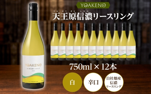 YOAKENO天王原信濃リースリング 750ml×12本177-4-082 |天王原信濃リースリング 白ワイン 12本天王原信濃リースリング 白ワイン 12本天王原信濃リースリング 白ワイン 12本天王原信濃リースリング 白ワイン 12本天王原信濃リースリング 白ワイン 12本|