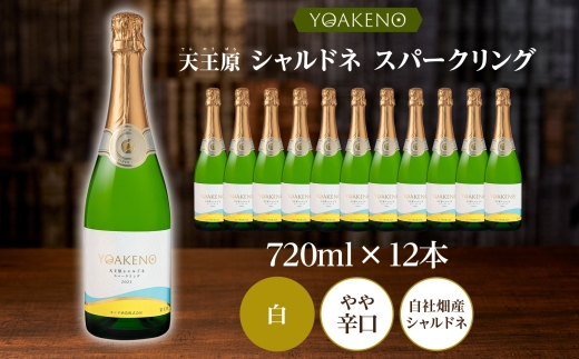 YOAKENO 天王原 シャルドネ スパークリング 720ml×12本177-4-085 |天王原シャルドネ スパークリングワイン 12本天王原シャルドネ スパークリングワイン 12本天王原シャルドネ スパークリングワイン 12本天王原シャルドネ スパークリングワイン 12本|