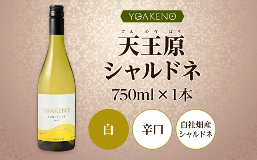 YOAKENO 天王原シャルドネ 750ml×1本177-4-086 |天王原シャルドネ 白ワイン 天王原シャルドネ 白ワイン 天王原シャルドネ 白ワイン 天王原シャルドネ 白ワイン 天王原シャルドネ 白ワイン 天王原シャルドネ 白ワイン 天王原シャルドネ 白ワイン |