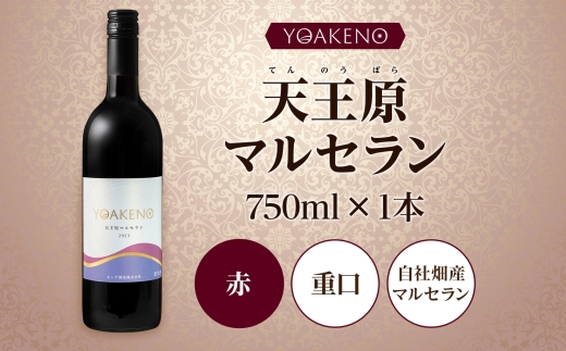YOAKENO 天王原マルセラン 750ml×1本177-4-089 |天王原マルセラン 赤ワイン天王原マルセラン 赤ワイン天王原マルセラン 赤ワイン天王原マルセラン 赤ワイン天王原マルセラン 赤ワイン天王原マルセラン 赤ワイン天王原マルセラン 赤ワイン|