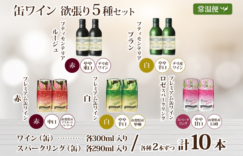 缶ワイン 欲張り 5種 飲み比べ セット 各2本 計10本 飲み比べ モンデ酒造 赤 ロゼ 白 ブラン 酒 お酒 贈答 ギフト 晩酌 宅飲み 家飲み キャンプ BBQ バーベキュー パーティー アウトドア 送料無料 山梨県 笛吹市  177-4-174