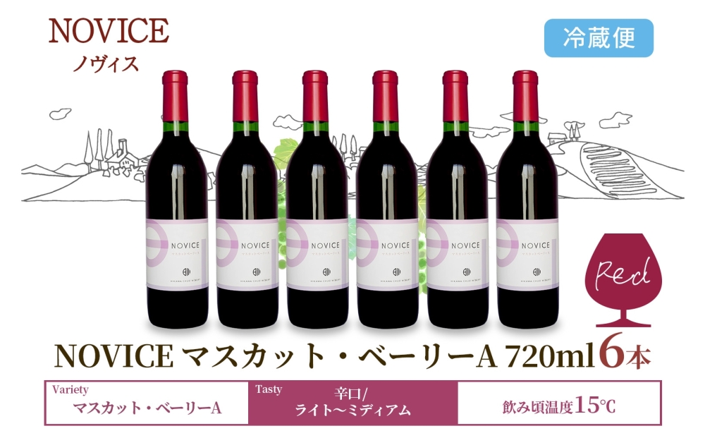 赤ワイン NOVICE マスカット・ベーリーA 720ml×6本 フルボトル  ワイン お酒 赤 山梨 送料無料 日川中央葡萄酒 山梨県 笛吹市 177-7-31