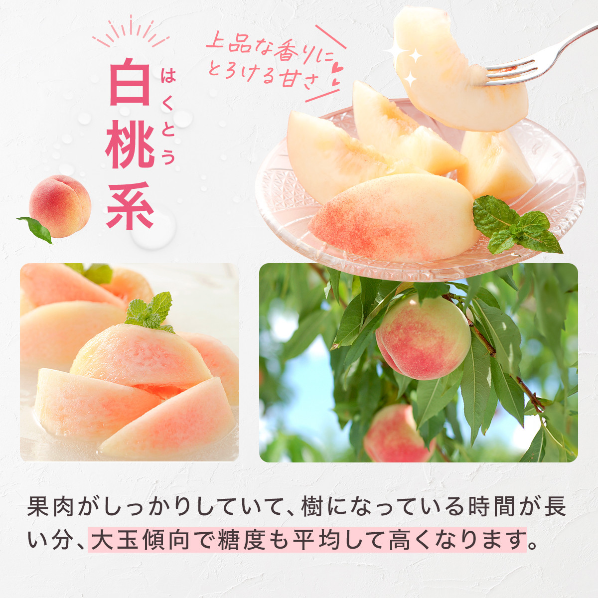 山梨県産 旬の桃 2kg以上(5～8玉) 180-004