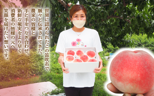 ＜25年発送先行予約＞笛吹市産　厳選! 旬の桃 約2kg (5~8玉) 205-001|もも 桃 2kg 2キロもも 桃 2kg 2キロもも 桃 2kg 2キロもも 桃 2kg 2キロもも 桃 2kg 2キロもも 桃 2kg 2キロもも 桃 2kg 2キロもも 桃 2kg 2キロもも 桃 2kg 2キロもも 桃 2kg 2キロもも 桃 2kg 2キロもも 桃 2kg 2キロもも 桃 2kg 2キロもも 桃 2kg 2キロ|