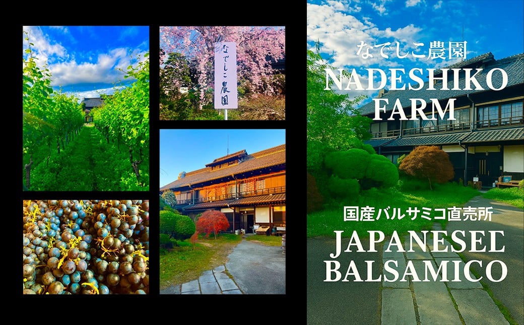 なでしこ☆農園ギフト（国産バルサミコ）020-001|バルサミコ バルサミコ酢 ギフト お酢バルサミコ バルサミコ酢 ギフト お酢バルサミコ バルサミコ酢 ギフト お酢バルサミコ バルサミコ酢 ギフト お酢バルサミコ バルサミコ酢 ギフト お酢バルサミコ バルサミコ酢 ギフト お酢バルサミコ バルサミコ酢 ギフト お酢バルサミコ バルサミコ酢 ギフト お酢バルサミコ バルサミコ酢 ギフト お酢|