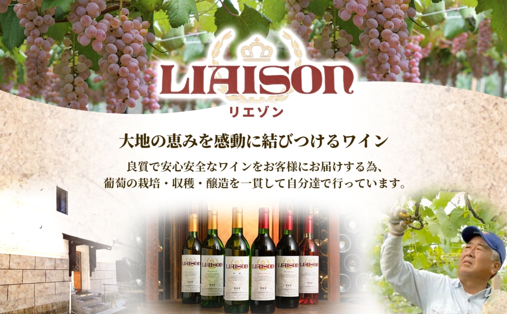 白ワイン Liaison リエゾン 甲州 720ml×6本 フルボトル やや辛口 ワイン 白 お酒 送料無料 山梨 日川中央葡萄酒 山梨県 笛吹市 177-7-24