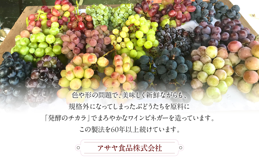 ビネガーソーダぶどう12本セット 182-031