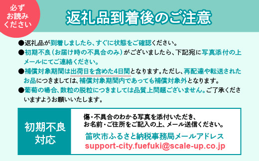 ＜26年発送先行予約＞笛吹市産シャインマスカット（匠）2～3房 1kg以上 210-002