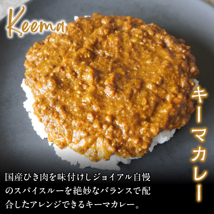 ジョイアル キャンプカレー５種５パックセット 118-008|カレー レトルト レトルトカレー キャンプカレー レトルト レトルトカレー キャンプカレー レトルト レトルトカレー キャンプカレー レトルト レトルトカレー キャンプカレー レトルト レトルトカレー キャンプカレー レトルト レトルトカレー キャンプ|