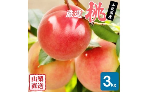 【2026年発送★先行予約】厳選!!池田青果の桃　3kg　8～13玉 173-005