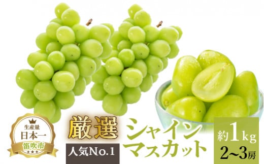 【2026年発送★先行予約】厳選!!池田青果のシャインマスカット1.0kg 2~3房 173-006