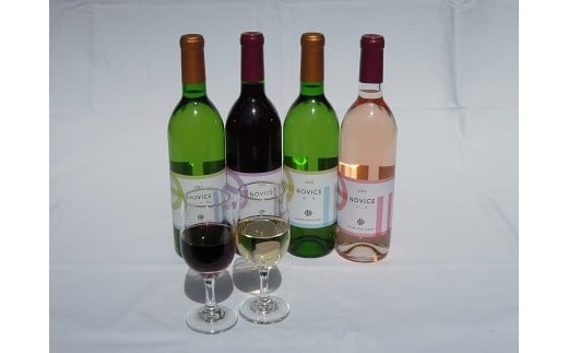 NOVICEフレッシュセット017-004|ワイン セットワイン セットワイン セットワイン セットワイン セットワイン セットワイン セットワイン セットワイン セットワイン セットワイン セットワイン セットワイン セットワイン セット|