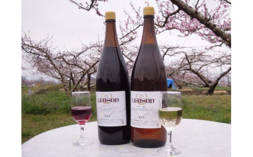 リエゾン一升瓶味くらべセット017-005|一升瓶 ワイン 飲み比べ 味くらべ一升瓶 ワイン 飲み比べ 味くらべ一升瓶 ワイン 飲み比べ 味くらべ一升瓶 ワイン 飲み比べ 味くらべ一升瓶 ワイン 飲み比べ 味くらべ一升瓶 ワイン 飲み比べ 味くらべ一升瓶 ワイン 飲み比べ 味くらべ一升瓶 ワイン 飲み比べ 味くらべ一升瓶 ワイン 飲み比べ 味くらべ一升瓶 ワイン 飲み比べ 味くらべ|