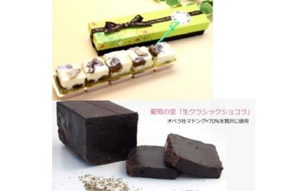 シャインマスカットレーズンショコラ＆生 クラシックショコラ019-001|スイーツ チョコ ショコラ お菓子スイーツ チョコ ショコラ お菓子スイーツ チョコ ショコラ お菓子スイーツ チョコ ショコラ お菓子スイーツ チョコ ショコラ お菓子スイーツ チョコ ショコラ お菓子スイーツ チョコ ショコラ お菓子スイーツ チョコ ショコラ お菓子スイーツ チョコ ショコラ お菓子|