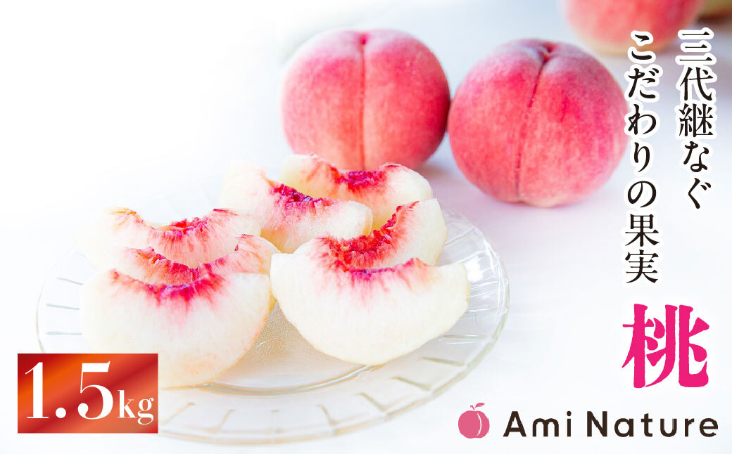 【2026年発送★先行予約】やまなし旬の果実 笛吹の朝採り桃1.5kg065-017