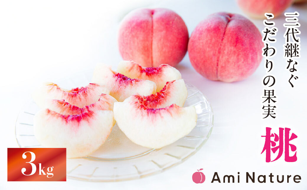 【2026年発送★先行予約】やまなし旬の果実 笛吹の朝採り桃3.0kg065-019