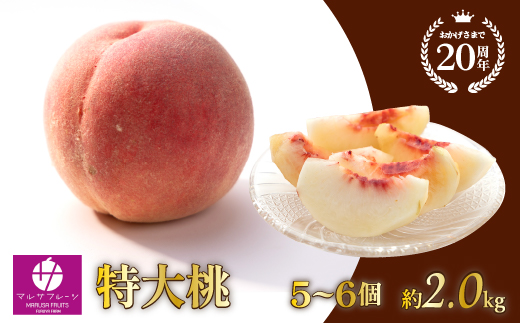 【2026年発送★先行予約】特大桃 5～6個入り 約2.0kg 山梨一宮産の桃 朝採り 産地直送 088-001