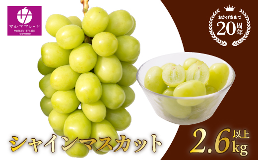 【2026年発送★先行予約】シャインマスカット2.6㎏以上　山梨県 笛吹市 一宮産 朝採り 産地直送  088-026