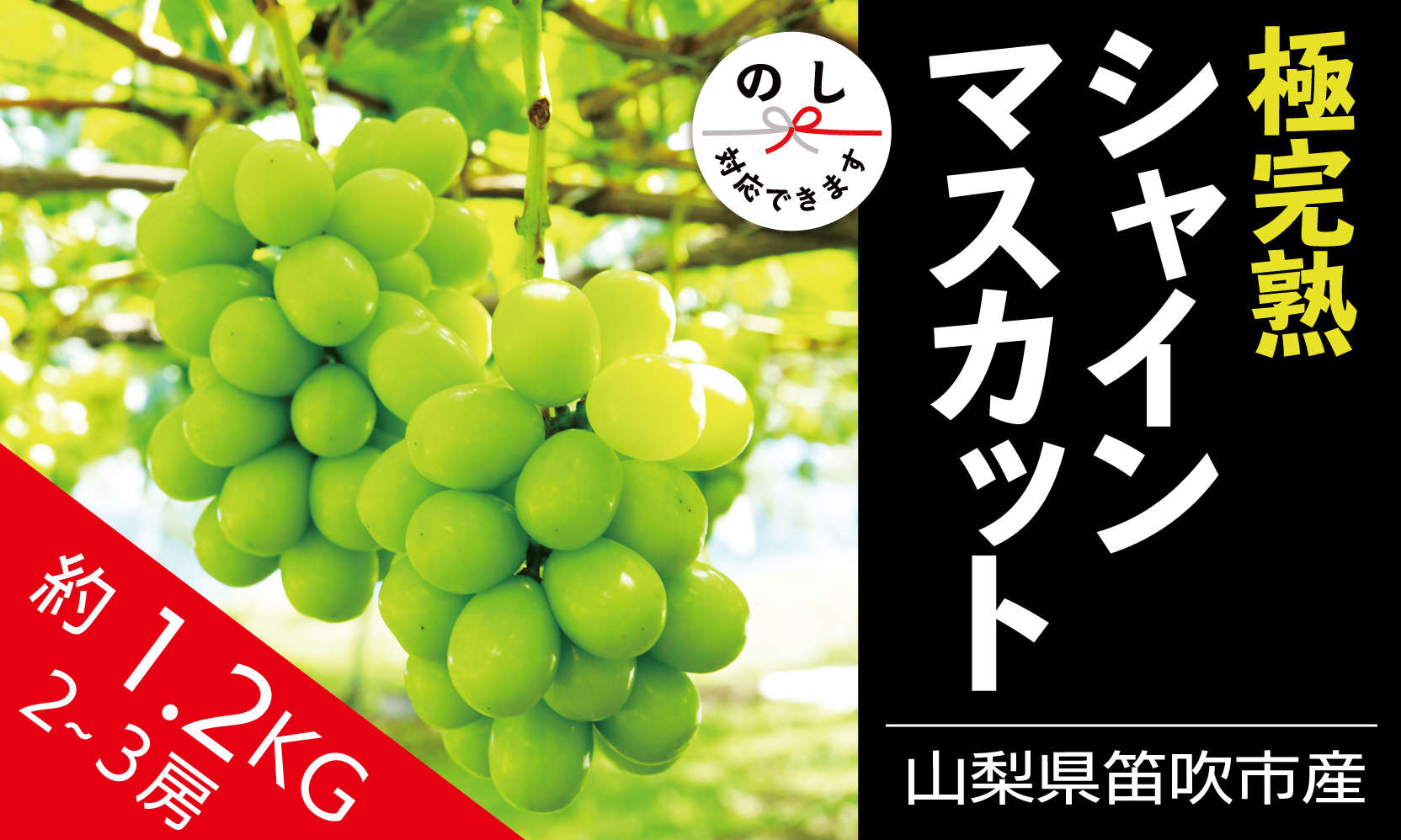 【2026年発送★先行予約】☆絶品☆ シャインマスカット 2-3房約1.2kg090-004