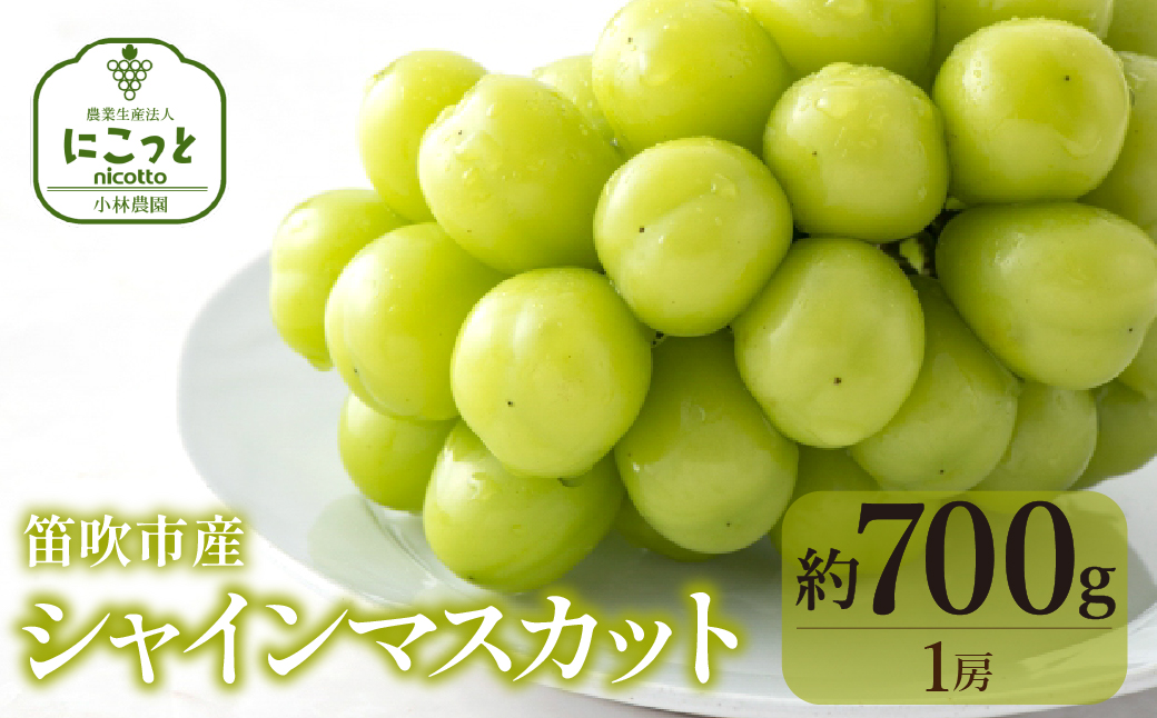 【2026年発送★先行予約】シャインマスカット700g（１房）097-022