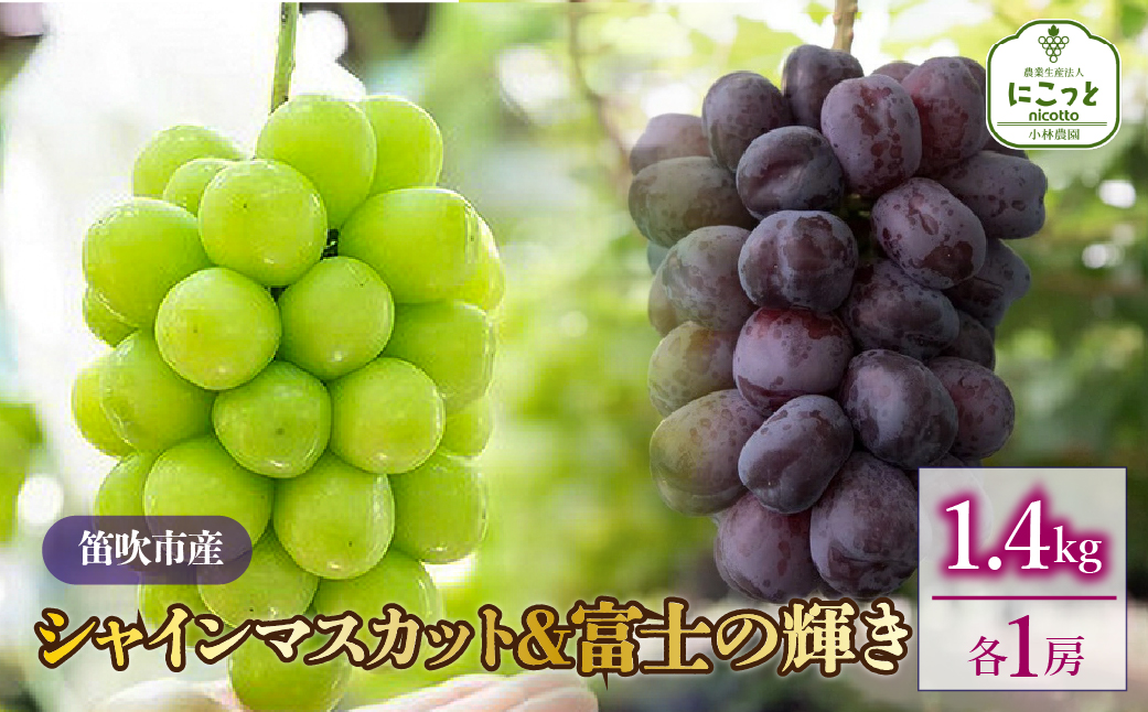 【2026年発送★先行予約】シャインマスカット・富士の輝　1房ずつ（合計1.4kg） 097-023