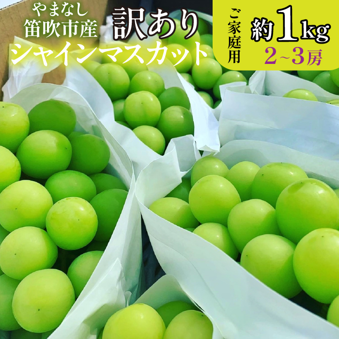 【2026年発送★先行予約】山梨県笛吹市産 シャインマスカット 優等品 約1kg 2～3房 【ご家庭用】 105-025