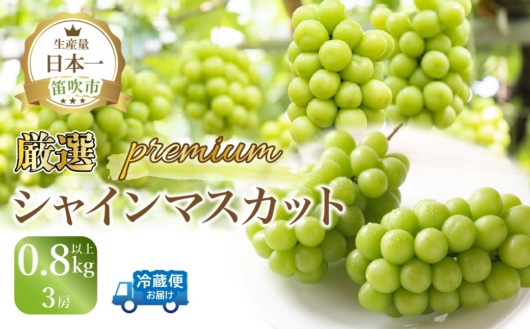 【2026年発送★先行予約】厳選プレミアムシャインマスカット800g以上3房 111-017