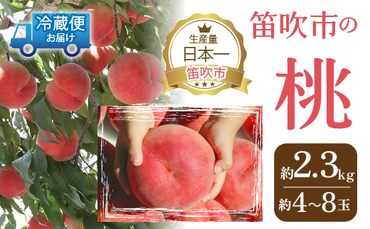【2026年発送★先行予約】山梨の完熟桃2.3kg以上 111-018