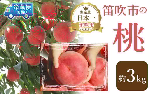 山梨の完熟桃3kg111-019|桃 もも 完熟 3kg桃 もも 完熟 3kg桃 もも 完熟 3kg桃 もも 完熟 3kg桃 もも 完熟 3kg桃 もも 完熟 3kg桃 もも 完熟 3kg桃 もも 完熟 3kg桃 もも 完熟 3kg桃 もも 完熟 3kg桃 もも 完熟 3kg桃 もも 完熟 3kg桃 もも 完熟 3kg桃 もも 完熟 3kg|