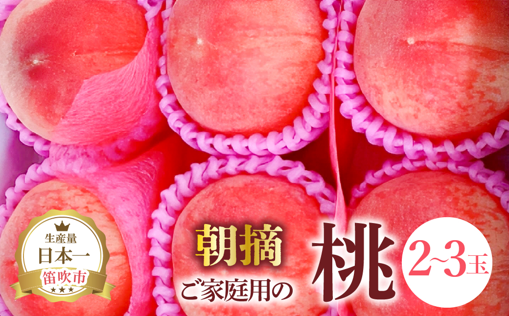 【2026年発送★先行予約】ご家庭用の桃2～3玉 111-022