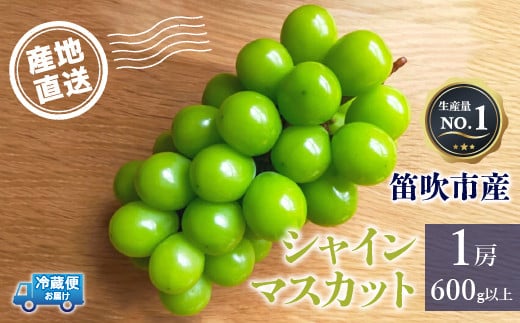 【2026年発送★先行予約】シャインマスカット　1房600g以上　クール便対応★136-007