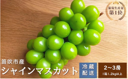 ＜25年発送先行予約＞シャインマスカット　2～3房1.2kg以上　クール便対応★136-011|シャインマスカット ぶどう 山梨 山梨県シャインマスカット ぶどう 山梨 山梨県シャインマスカット ぶどう 山梨 山梨県シャインマスカット ぶどう 山梨 山梨県シャインマスカット ぶどう 山梨 山梨県シャインマスカット ぶどう 山梨 山梨県シャインマスカット ぶどう 山梨 山梨県シャインマスカット ぶどう 山梨 山梨県|