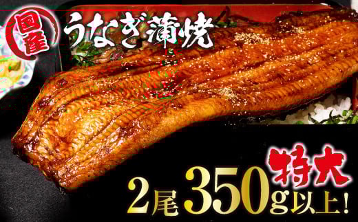 山梨県産富士山脈の地下水うなぎの蒲焼 特大2尾 350g以上138-003|うなぎ 鰻 国産 特大うなぎ 鰻 国産 特大うなぎ 鰻 国産 特大うなぎ 鰻 国産 特大うなぎ 鰻 国産 特大うなぎ 鰻 国産 特大うなぎ 鰻 国産 特大うなぎ 鰻 国産 特大うなぎ 鰻 国産 特大うなぎ 鰻 国産 特大うなぎ 鰻 国産 特大うなぎ 鰻 国産 特大うなぎ 鰻 国産 特大うなぎ 鰻 国産 特大|