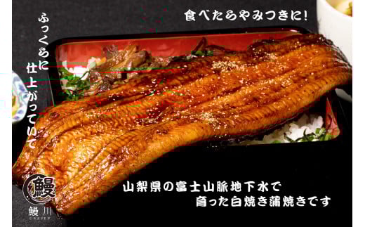 山梨県産富士山脈の地下水うなぎの蒲焼1尾・白焼1尾（2尾 合計250g以上）138-006|うなぎ 鰻 国産 蒲焼 白焼うなぎ 鰻 国産 蒲焼 白焼うなぎ 鰻 国産 蒲焼 白焼うなぎ 鰻 国産 蒲焼 白焼うなぎ 鰻 国産 蒲焼 白焼うなぎ 鰻 国産 蒲焼 白焼うなぎ 鰻 国産 蒲焼 白焼うなぎ 鰻 国産 蒲焼 白焼うなぎ 鰻 国産 蒲焼 白焼うなぎ 鰻 国産 蒲焼 白焼うなぎ 鰻 国産 蒲焼 白焼|