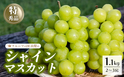 【2026年発送★先行予約】シャインマスカット  1.1kg以上 2房～3房 154-008